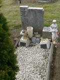 image of grave number 269428